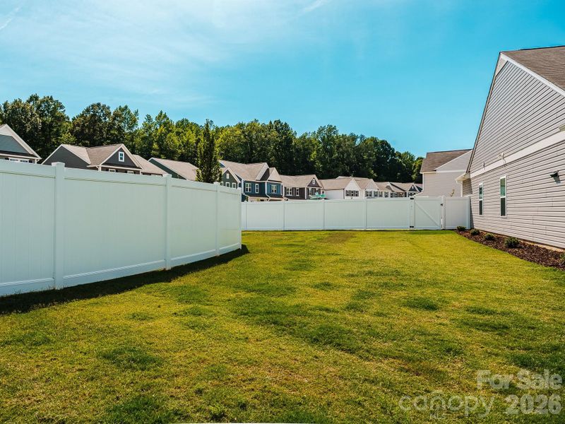 Side Yard Side Yard