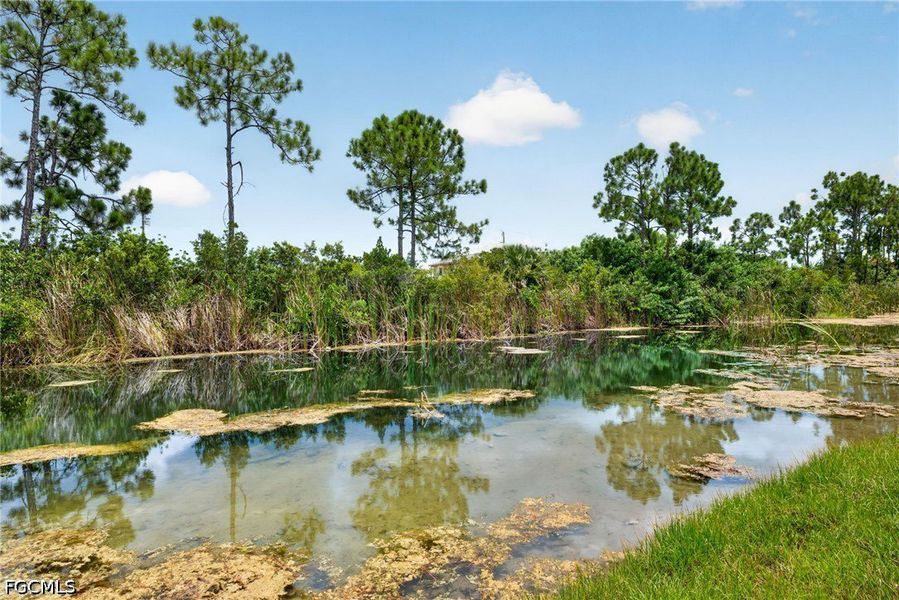 Natural landscape and outdoor views near Cape Coral in Cape Coral (Image 30). Natural landscape and outdoor views near Cape Coral in Cape Coral (Image 30).