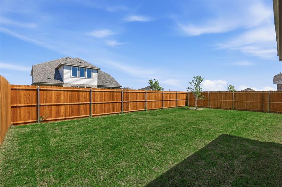 View of fenced backyard