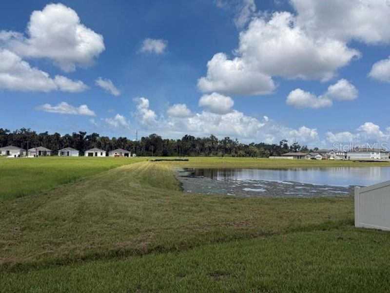 Natural landscape and outdoor views near Oakfield Lakes in Parrish (Image 30).