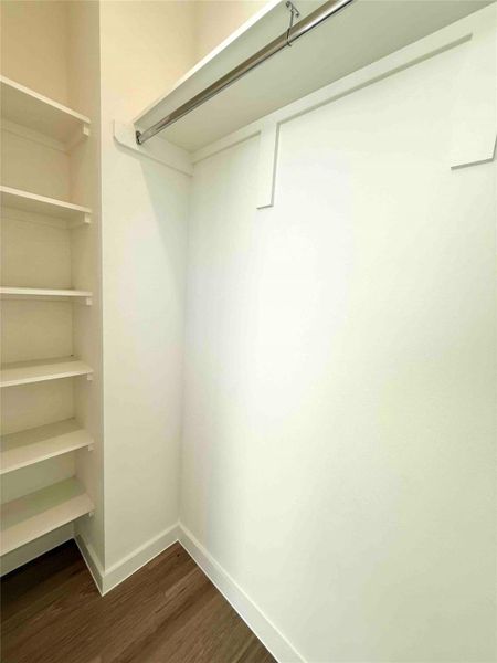 Spacious closet with dark wood-type flooring