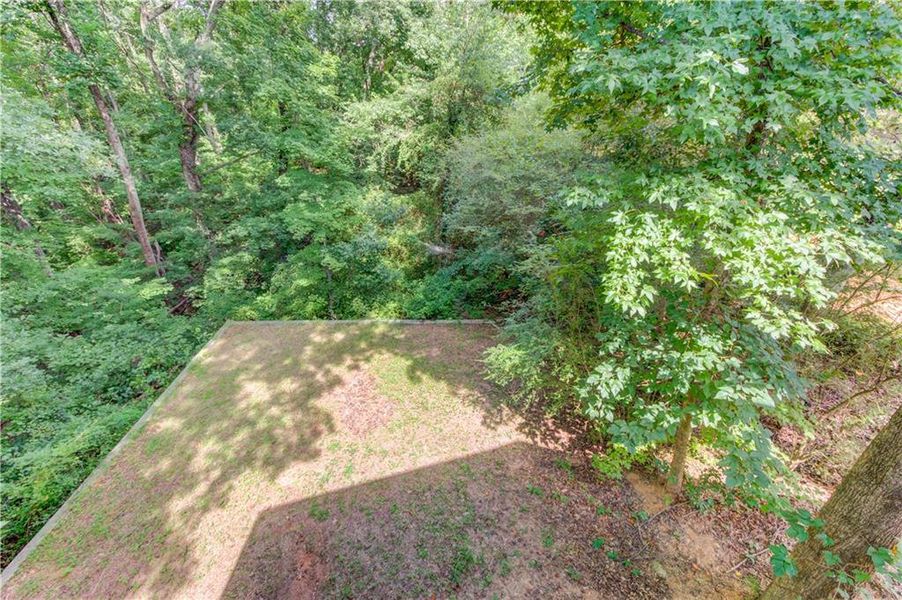 Natural landscape and outdoor views near  in Gainesville (Image 30).