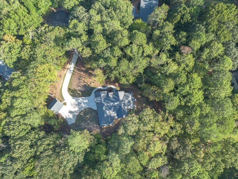 Natural landscape and outdoor views near  in Cartersville (Image 57).