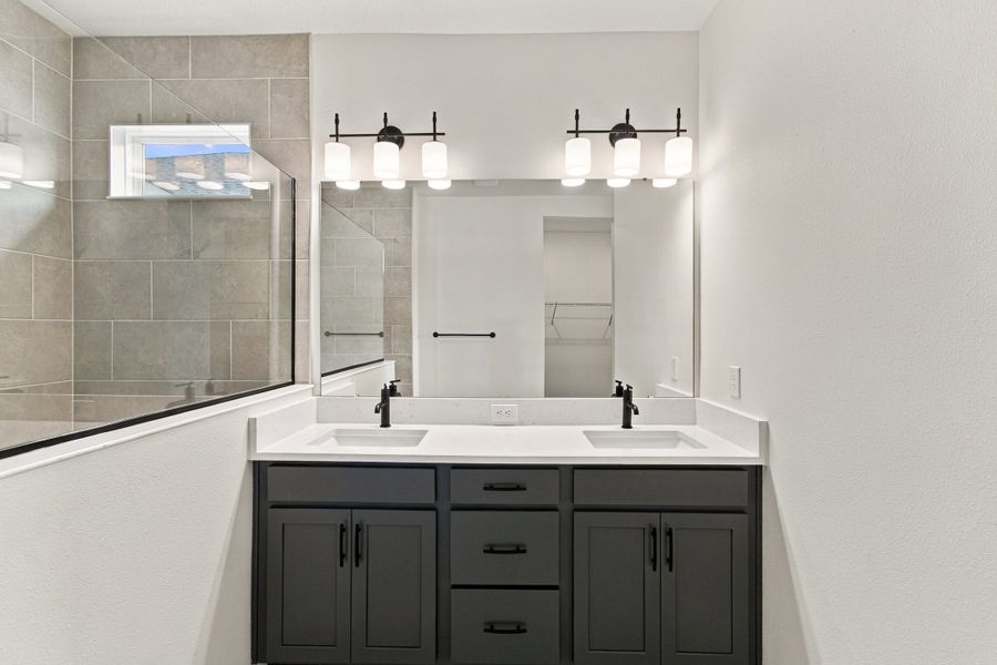 Owner's Bath