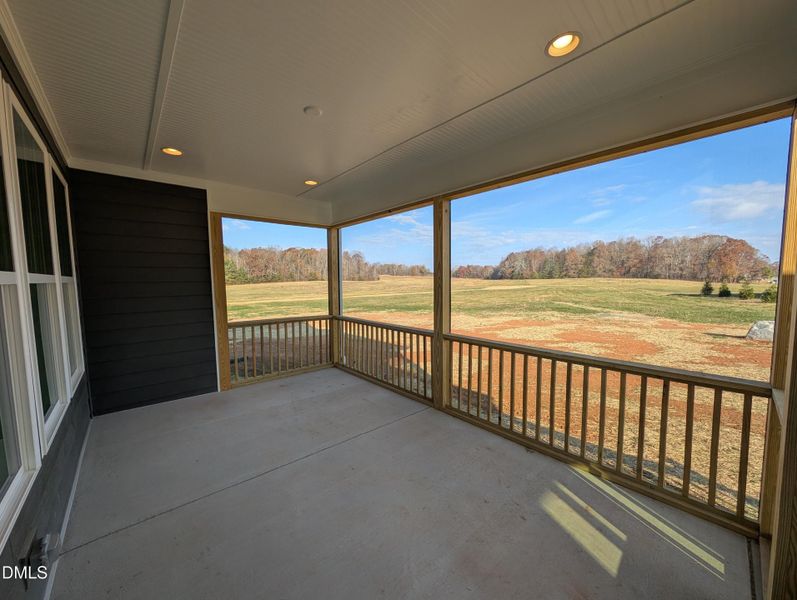 PXL_20251120_142543580 PXL_20251120_142543580