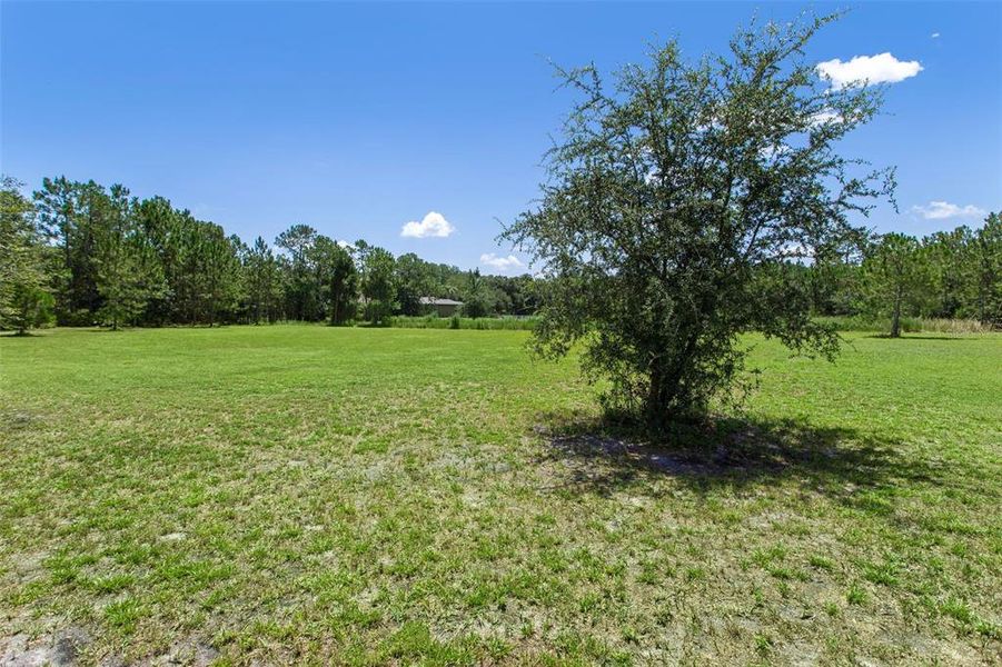 Natural landscape and outdoor views near  in Wesley Chapel (Image 53).