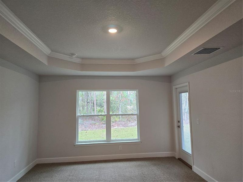 Master Bedroom w/tray ceiling & crown molding