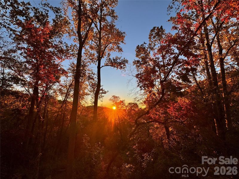 Natural landscape and outdoor views near  in Hendersonville (Image 29).