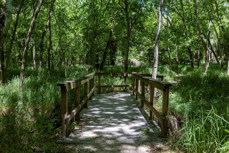 Surrounding community