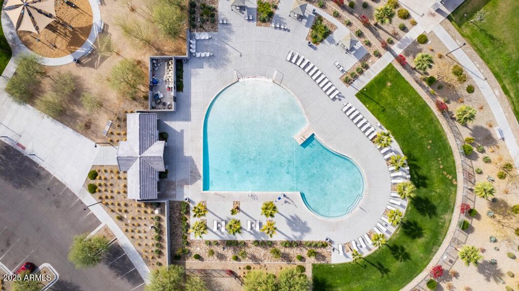 Community Photo Community Photo