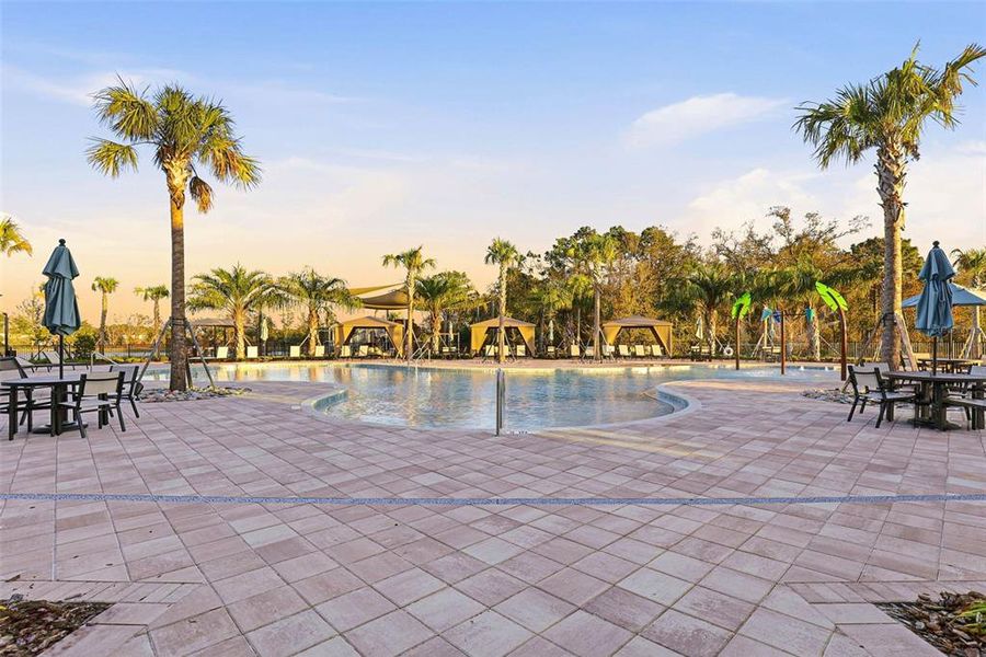 Community amenities in Vida's Way, Wesley Chapel (Image 75).