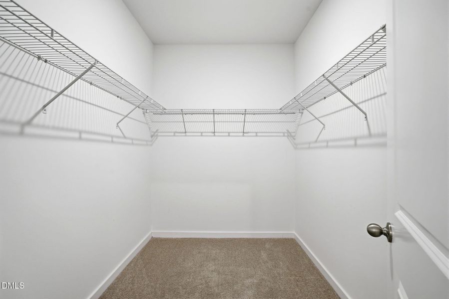 40-web-or-mls-dsc06540