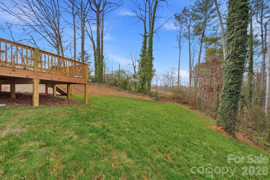 Natural landscape and outdoor views near  in Conover (Image 38).
