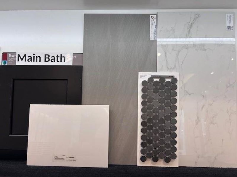 Luxurious Main Bath finishes