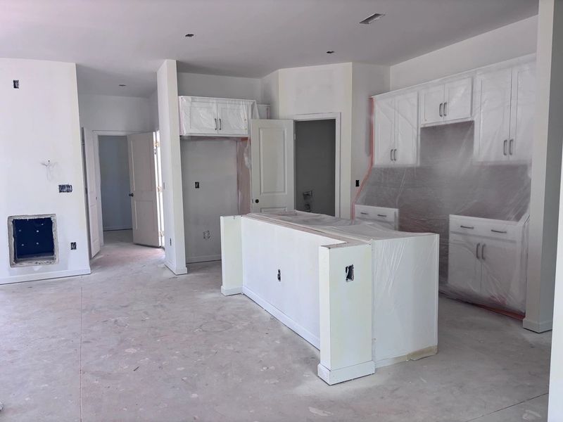 In-progress construction of a new home in Middleton Farms, Middlesex, NC (Image 9).