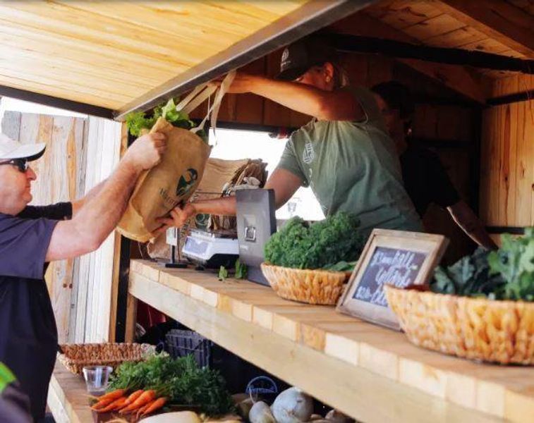 With a focus on local and sustainable products, Harvest Green Farmer's Market makes high quality agricultural goods available to the Fort Bend area. Come visit the market to purchase your weekly groceries and enjoy quality local food while your kids play on the adjacent playground and maze. Open year round, rain or shine, join us to connect meaningfully with agriculture by purchasing agricultural products and touring our adjacent working farm.