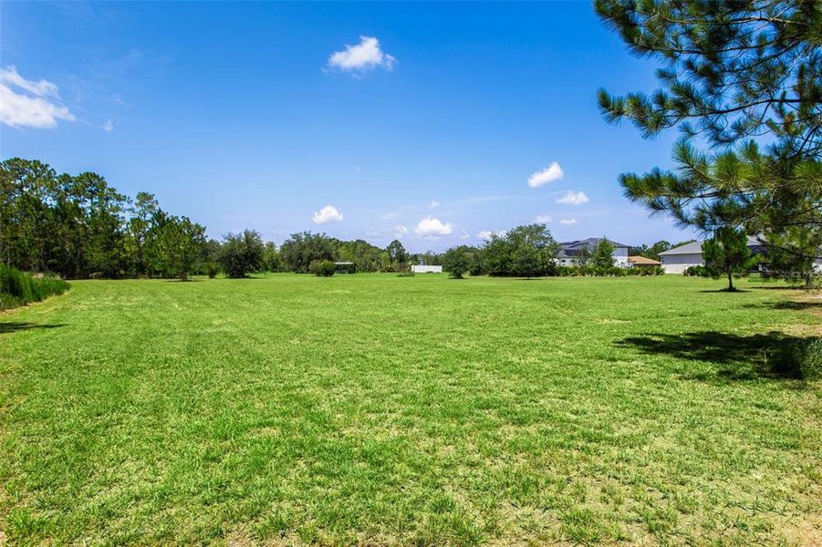 Natural landscape and outdoor views near  in Wesley Chapel (Image 54).