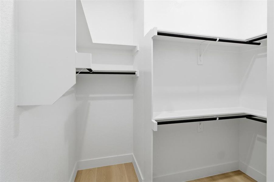 Walk in closet featuring light wood finished floors
