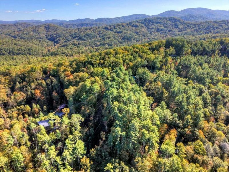 Natural landscape and outdoor views near  in Blue Ridge (Image 16).