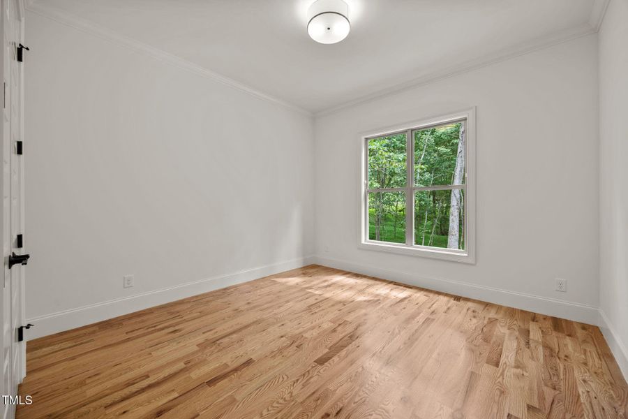 33-web-or-mls-IMG_9556