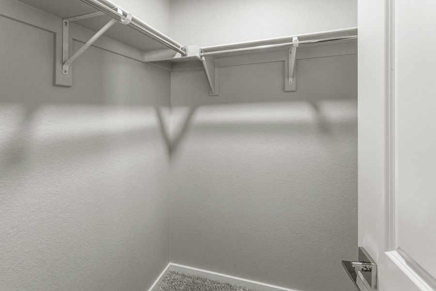 Spacious, unfurnished interior of a new home in Bloom, Fort Collins (Image 82).
