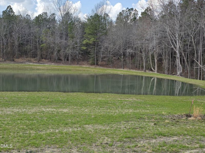 NEIGHBORHOOD POND NEIGHBORHOOD POND