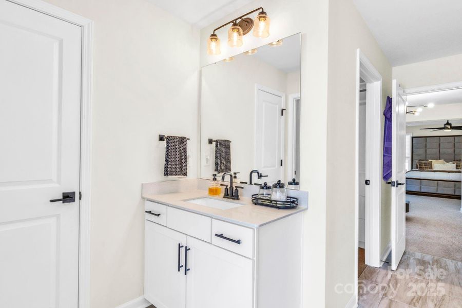 Owners vanity (seperate sink