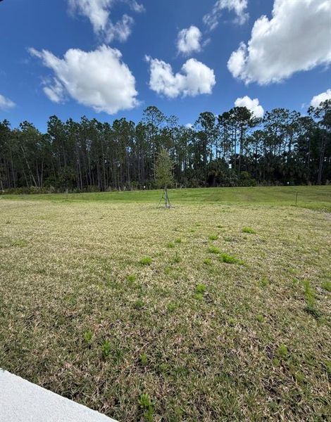 Natural landscape and outdoor views near Legends Preserve - Signature Series in Daytona Beach (Image 21).