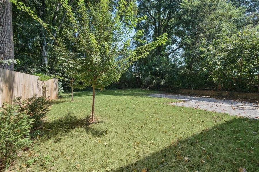 Natural landscape and outdoor views near  in Atlanta (Image 36).