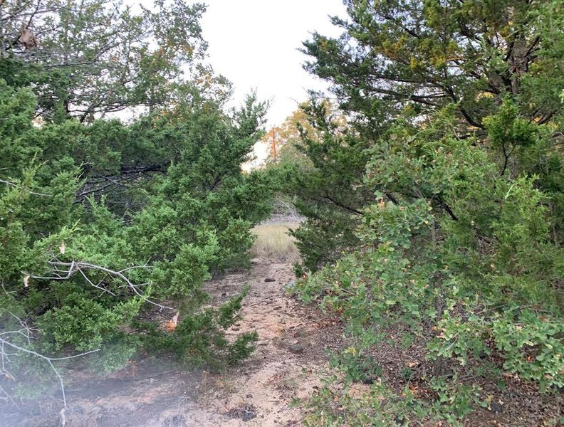 Plenty of room to adventure!