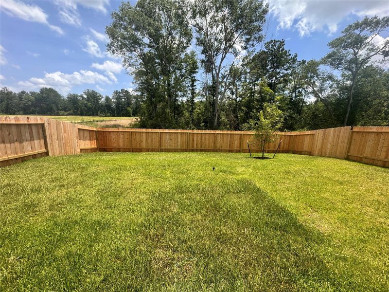 Exterior details and patio area of a home in Pinewood Trails, Cleveland (Image 3).