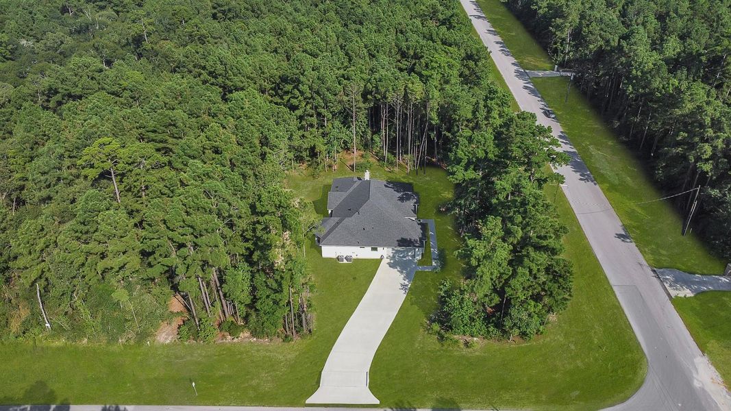 Live in the forest! Live in the forest!