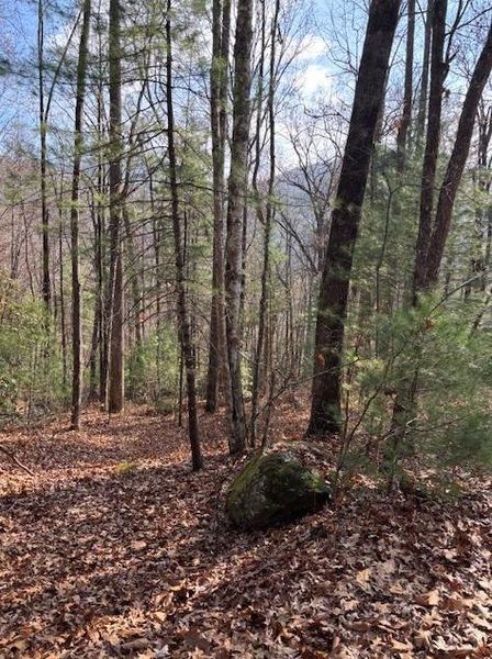 Natural landscape and outdoor views near  in Sky Valley (Image 4).