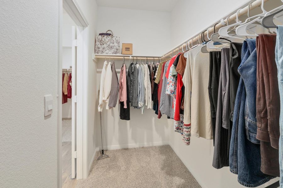 Carpeted walk-in closet featuring white walls, a built-in shelving system, and ample hanging rods Carpeted walk-in closet featuring white walls, a built-in shelving system, and ample hanging rods