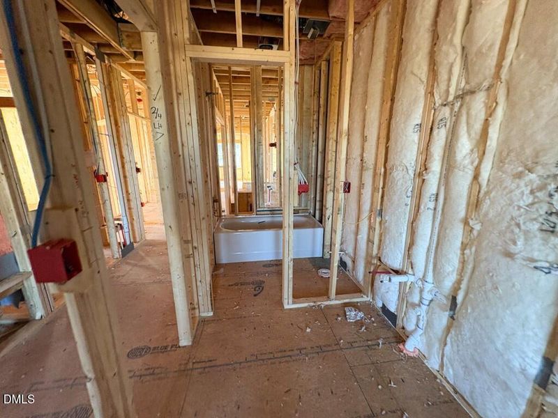 Photo Dec 22 2025, 9 46 36 AM (Medium)