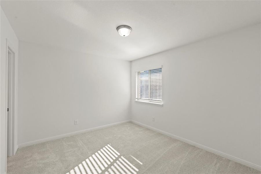 19_1072 Happy Holly, Lavon 19_1072 Happy Holly, Lavon