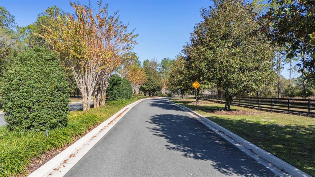 Natural landscape and outdoor views near in Eustis (Image 6). Natural landscape and outdoor views near in Eustis (Image 6).