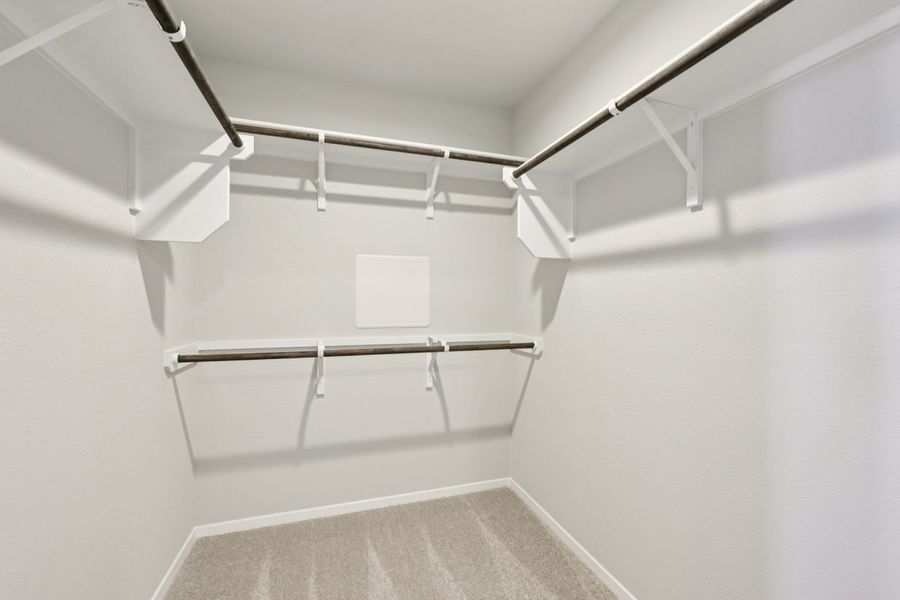 Image of a primary closet with tan carpeting and shelves