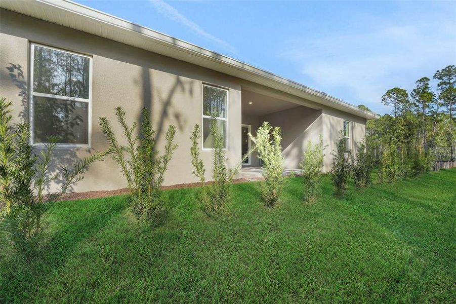 Exterior details and patio area of a home in Palms at Windermere, Windermere (Image 3).