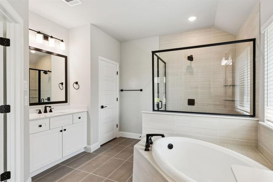 8-4221Equine_008 8-4221Equine_008