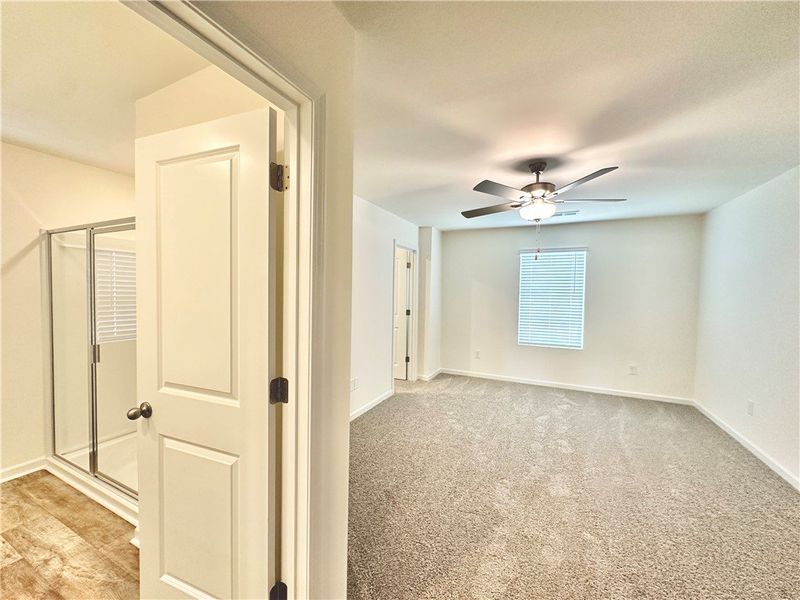 *Photo is from similar Palomino. Actual pics will *Photo is from similar Palomino. Actual pics will