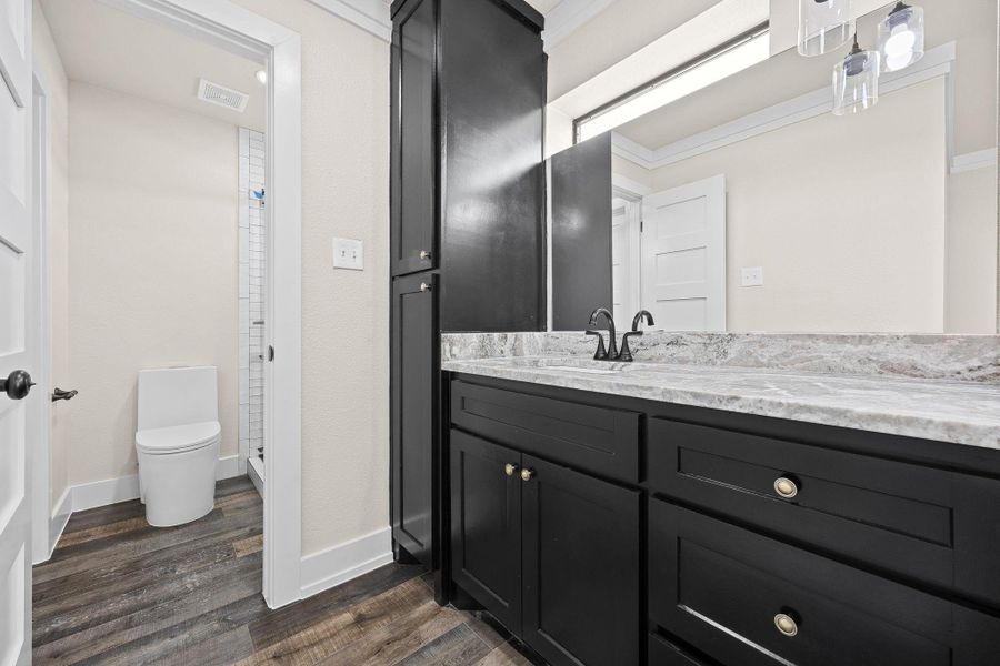 Full bath with vanity, ornamental molding, dark wood-type flooring, and a shower stall Full bath with vanity, ornamental molding, dark wood-type flooring, and a shower stall