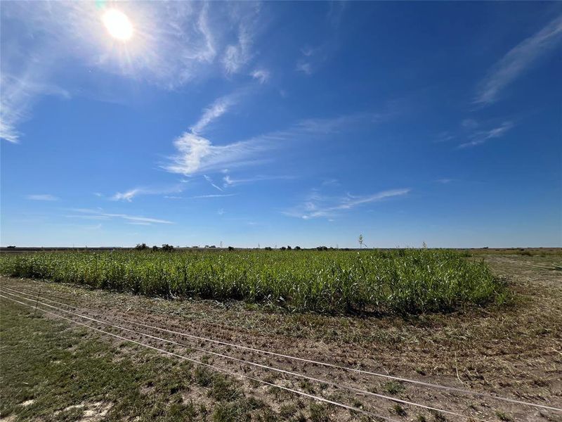 Natural landscape and outdoor views near  in Hico (Image 16).