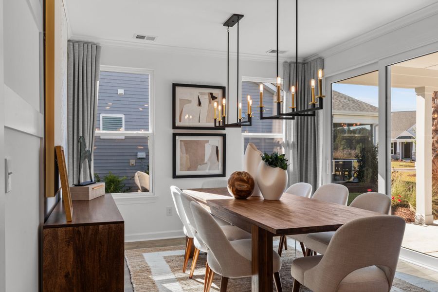 Furnished interior view inside a new home in Terrapin, Leland (Image 19).
