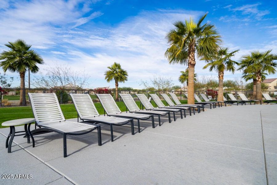 Community Photo Community Photo