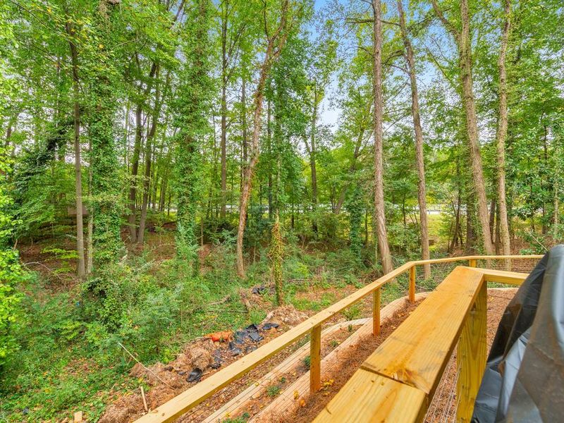 Natural landscape and outdoor views near  in Tucker (Image 34).