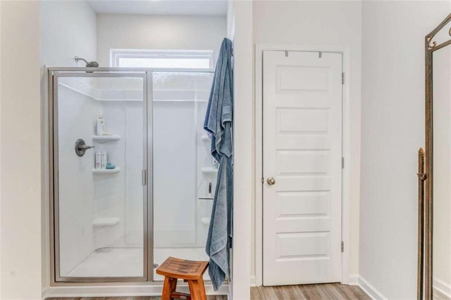 Furnished interior view inside a new home in , Rome (Image 45).