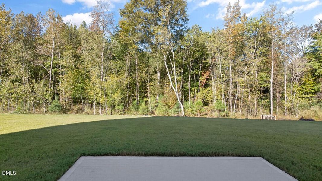 olive-branch-lot-46-019