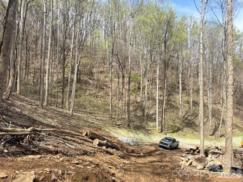 Natural landscape and outdoor views near  in Mars Hill (Image 8).