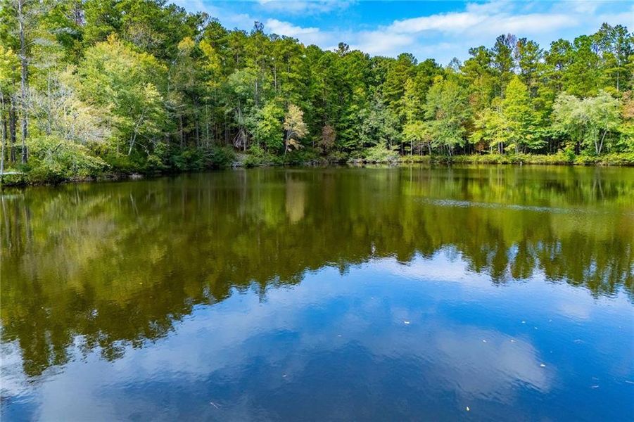 Natural landscape and outdoor views near  in Newnan (Image 70).